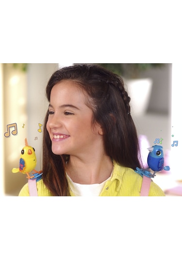 Digibirds İkili Paket Seri 1