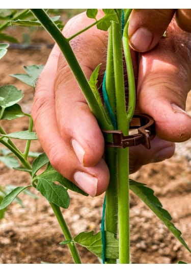 23mm Bitki Klipsi Kahverengi 5000 Li