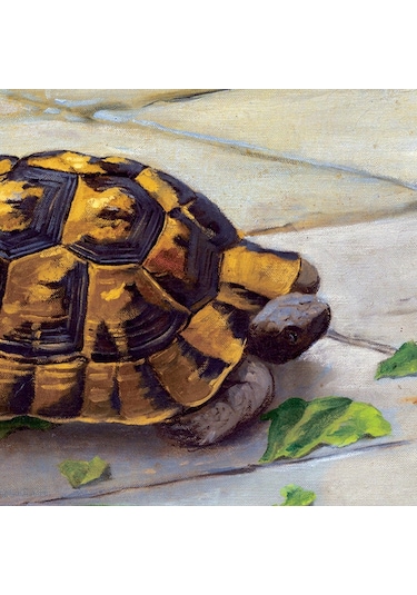 Ks Games 1000 Parça Kaplumbağa Terbiyecisi Puzzle - Osman Hamdi Bey