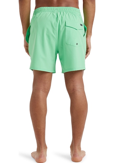 Quiksilver Surfsilk Solid Volley 16 Erkek Yeşil Mayoşort Yeşil