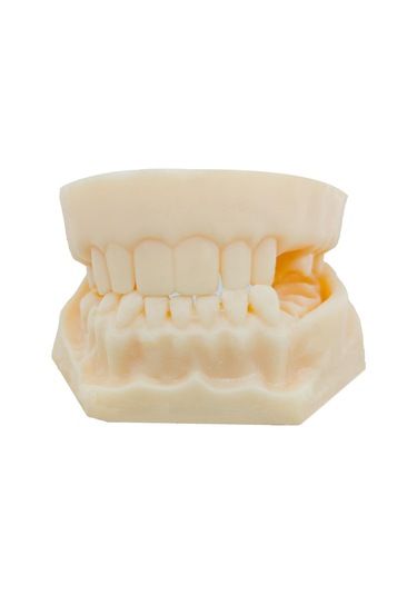 Barışhan Medikal Silikon Çene Diş Dikiş Modeli Ortodontik Alt Üst Çene Periodontal Sütür Eğitim Modeli-1