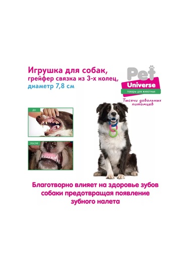 Pet Universe Köpekler İçin Oyuncak Halka Set 3 Adet Pu3066 236420437