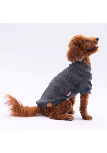 Pawstar Siyah Merino Esnek, Küçük Irk Triko Köpek Kazağı