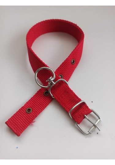Kozaklı Orta Irk Köpek Tasması Kırmızı 60 x 3 CM
