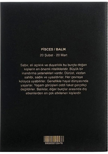 Balık Burcu Yıldız Haritası Defter