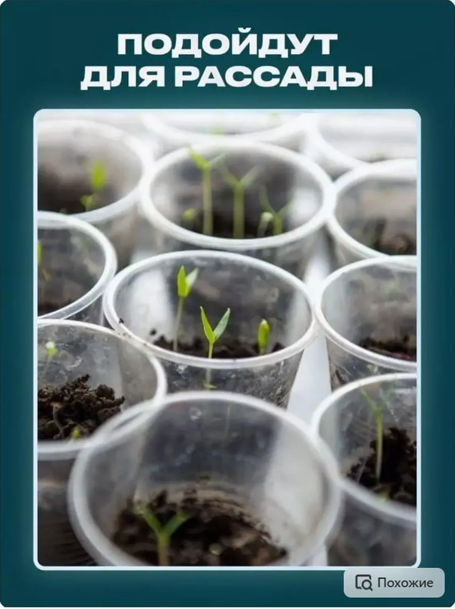 Dobryj Kupec Tek Kullanımlık Plastik Bardak 200 Ml 100 Adet 48512810 Beyaz