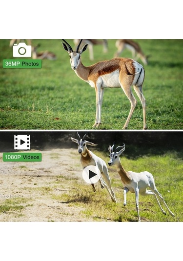 Dancemonkey Kamerası Gece Görüşlü 3 Pır Sensörlü 36mp 1080p İz Ve Av Kamerası Ip66 Su Geçirmez Hareket Yeşil