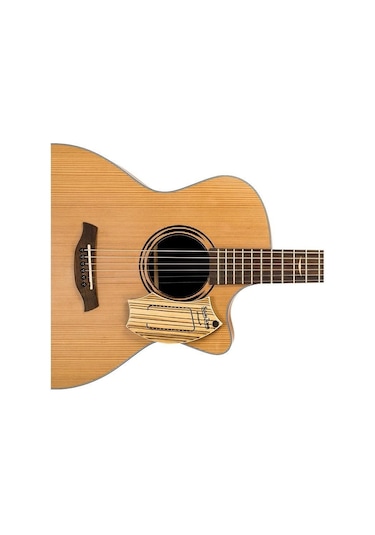 Schlagwerk Sj110z Samjam Gitar Trampet Zebrano Design