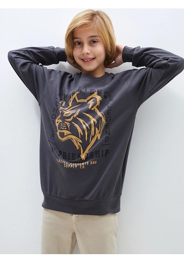 Aslan Desenli Erkek Çocuk Sweatshirt Füme