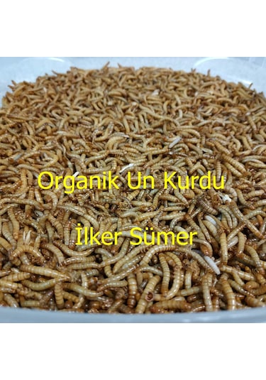 Un Kurdu 150 Gram