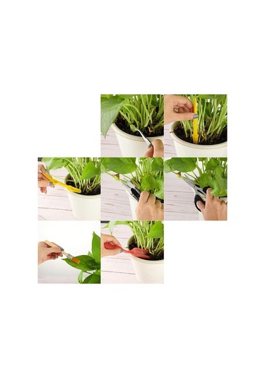 Maoyaya Sukulentler Seti Peri Nakil Minyatür Mini Kazma Kaktüs El Dikim Dikim Dikim Bonsai Bahçesi Bahçecilik Bahçe Ayıklama Aletleri Alet Adet 13 Bw