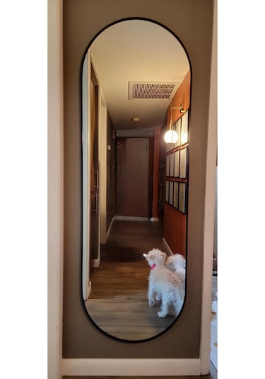 Model Alfa Dekoratif Ayna Boy Aynası Mdf 180cm X 62 Cm Elips Ayna 180 X 60 Siyah Antno27s Siyah