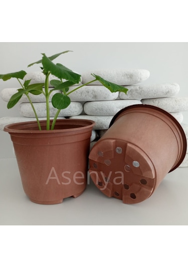 Üretim Saksısı 15X13 Cm Vakum Saksı Thermoform Saksı -Adet Seçin