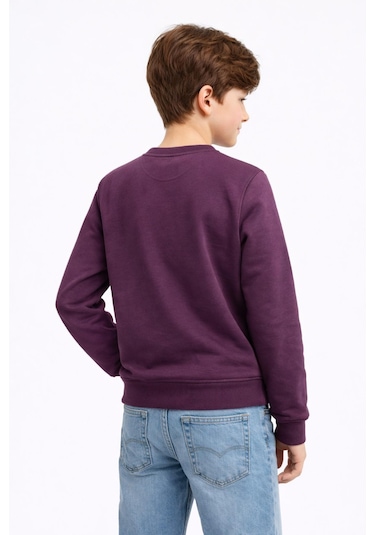 Baglan Erkek Çocuk Önü Arkası Baskılı Sweatshirt Bgl-st05231 Mürdüm