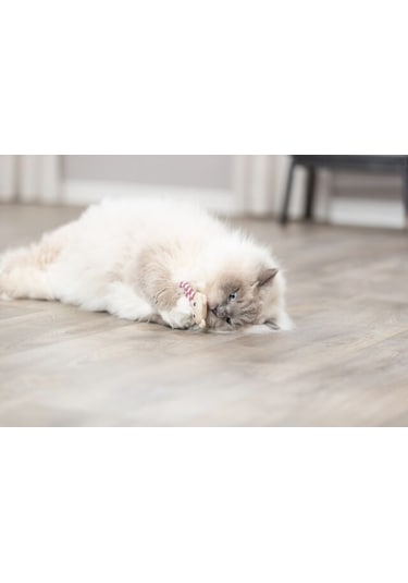 Trixie Kedi Oyuncağı, Kumaş Ayı, Kediotlu 12cm