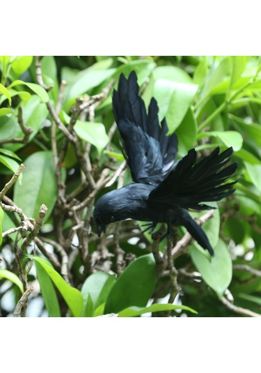 Suntek Açık Bahçe Ev Dekorasyonu Için Yapay Gerçekçi