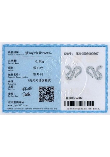 Tancise 925 Ayar Gümüş Zirkon Küpe Damla Küpe Kadınlar Için Düğün Hediyeleri