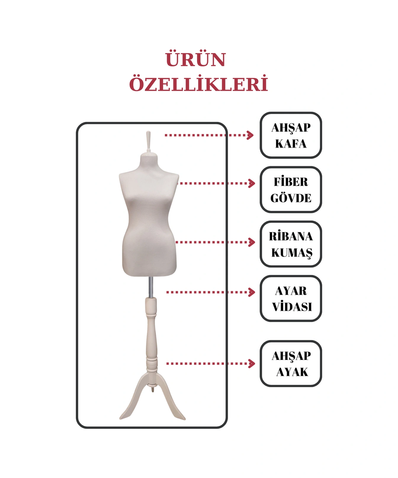 Vitrin Amaçlı 36 Beden Terzi Mankeni Vitrin Mankeni Cansız Manken İğne Batmaz 0005