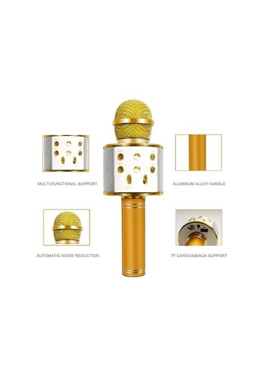 Kablosuz Mikrofon Profesyonel Kondenser Karaoke Mikrofon Bluetooth Standı Radyo Mikrofon Kayıt Stüdyosu