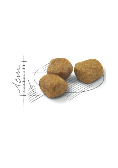 Royal Canin Indoor 7+ Evde Yaşayan Yaşlı Kedi Maması 1500 G