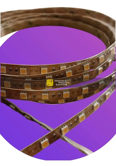 Erit Led Ip68 Havuz Led Su Geçirmez Neom 5m 3 Çipli