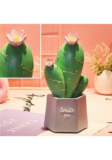 Sıladanal Led Işıklı Kaktüs Biblo Ev Dekorasyon Ve Hediyelik Eşya Led Aydınlatma Diğer
