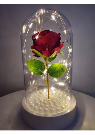 Tek Kırmızı Gül İşıklı Fanus