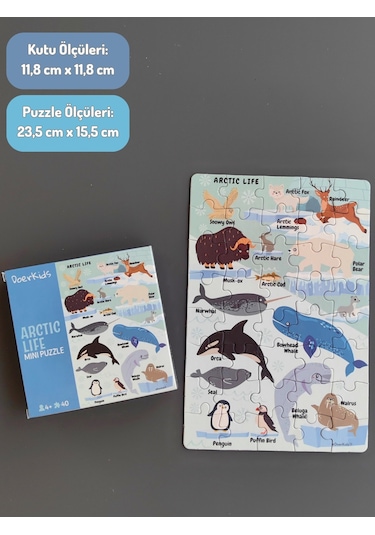 Doerkids Kuzey Kutbu Hayvanları Mini Puzzle 40 Parça 4 Yaş