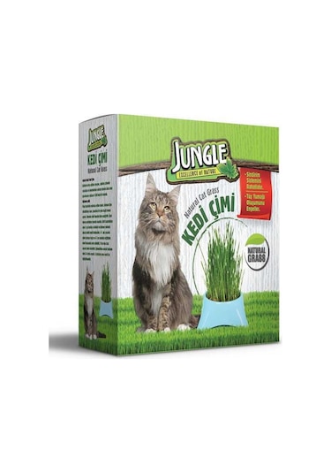 Jungle Kedi Çimi