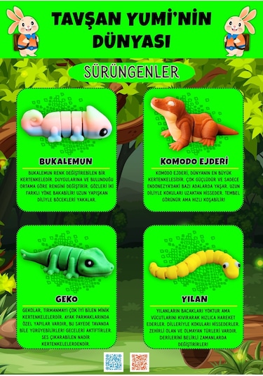 Tavşan Yumi Sürüngenler Koleksiyonu - 4 Parça 5-7 Cm Hareketli Oyuncaklar Ve Bilgilendirici Kartlar "