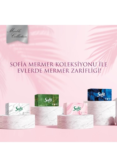 Sofia Kutu Mendil 100 Yaprak 24 Paket