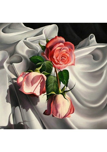 Ruicoo 30x30cm Yarı Delikli Kanvas Ve Reçine Elmaslı Dıy Diamond Painting Seti Çerçeve Hariç