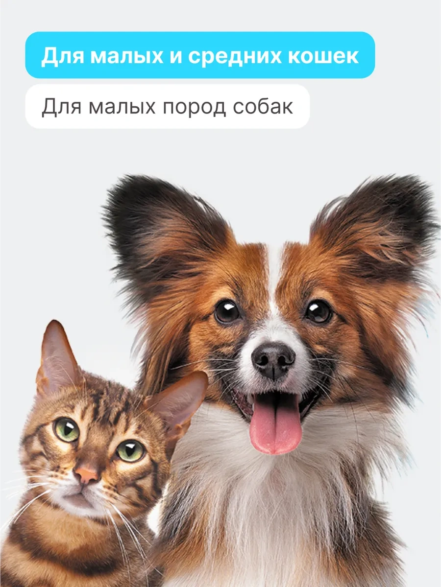 Rıch Breed Küçük Irk Kediler Ve Köpekler İçin Yumuşak Yuva 37658078