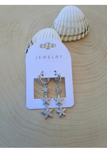 Dali Shop Sallantılı Yıldız Küpe Gümüş Renk Gümüş