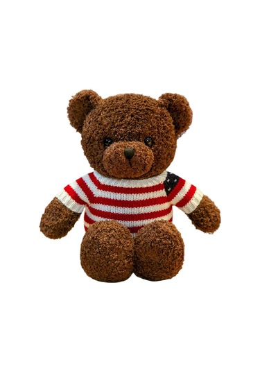 Turki Teddy Ayı Plush Toy Renkli Pillow 40cm Kahverengi Bayrak