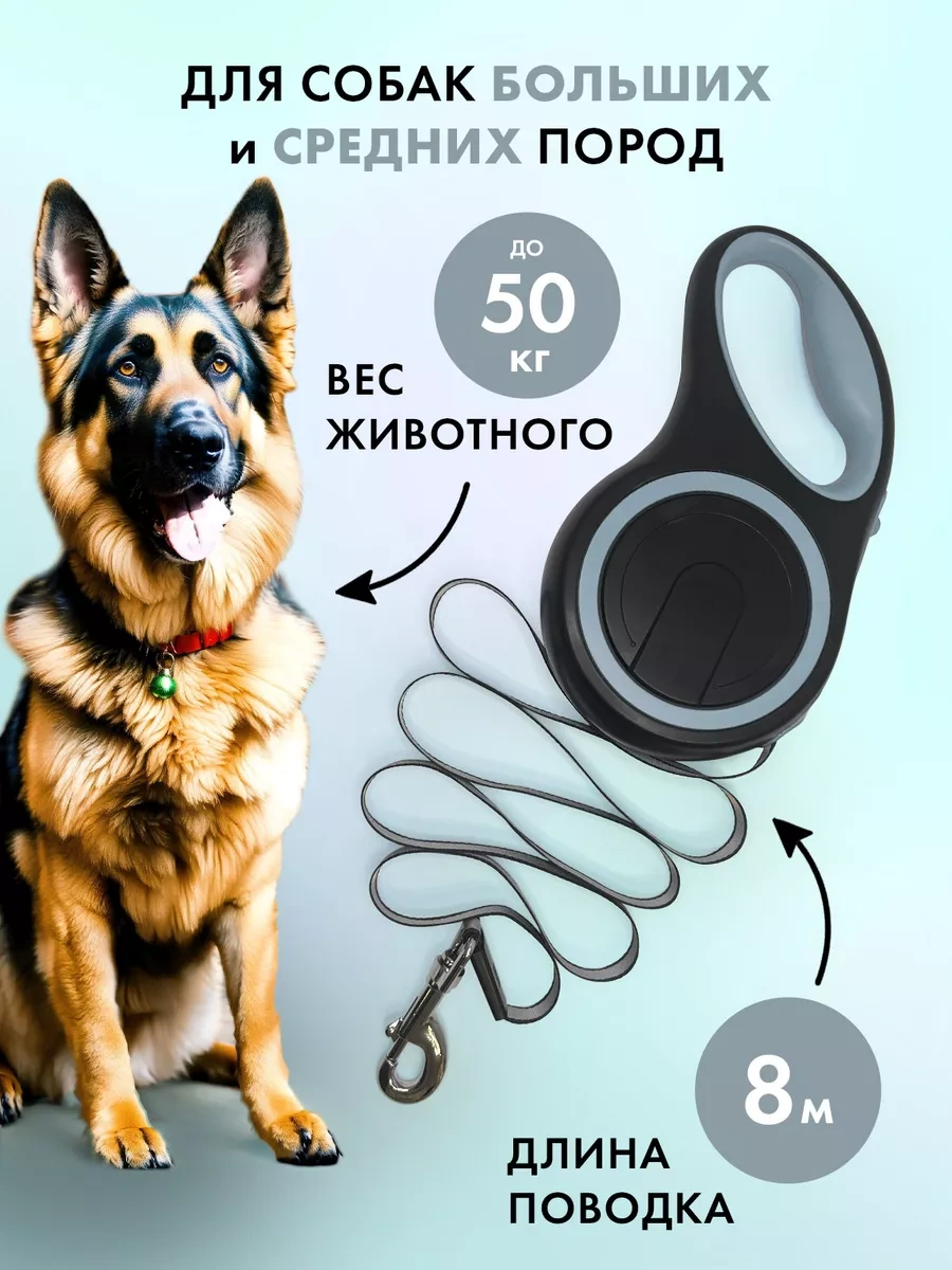 Purrfect Place 8 M Yürüyüş Kayışı 205592142 Gri