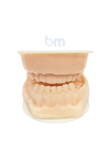 Barışhan Medikal Silikon Çene Diş Dikiş Modeli Ortodontik Alt Üst Çene Periodontal Sütür Eğitim Modeli-3