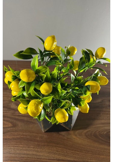 Eskitme Boyalı Geometrik Beton Saksıda Limon Ağacı 35cm Sarı-siyah