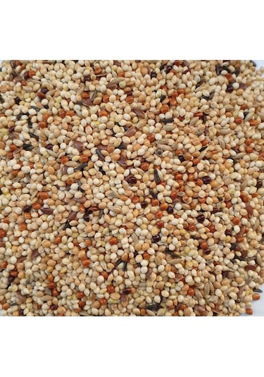 Özel Karışık Muhabbet Kuşu Yemi 10 KG
