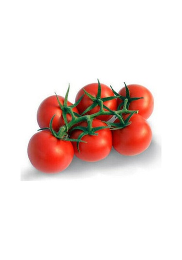 Eko Paket Erkenci Salkım Domates Tohumu Domates Tohumu 45 Adet Tohum