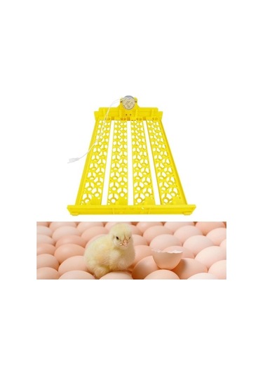 Pazly Yumurta Suntek Mini Makinesi Kümes Kuluçka Hayvanları, 88 Dw