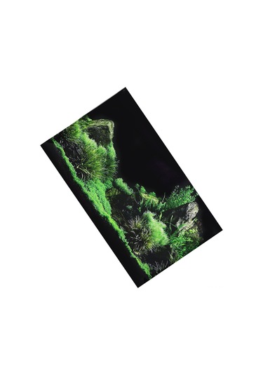 Moveevo Akvaryum Pvc Arka Plan Sticker - Suya Dayanıklı, Renkli, Toxik Olmayan, Kolay Uygulanabilir, Farklı Boyut Seçenekleri