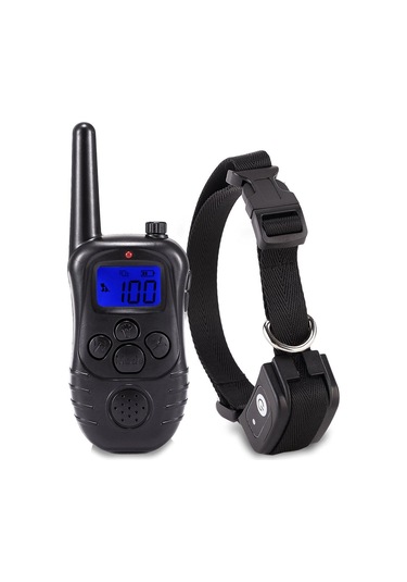 Homyl Köpek Eğitim Tasması Suya Dayanıklı Turuncu