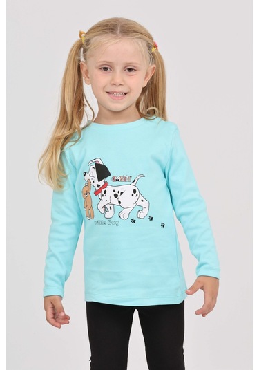 Toontoy Kız Çocuk Köpekli Ayı Baskılı Sweatshirt Turkuaz