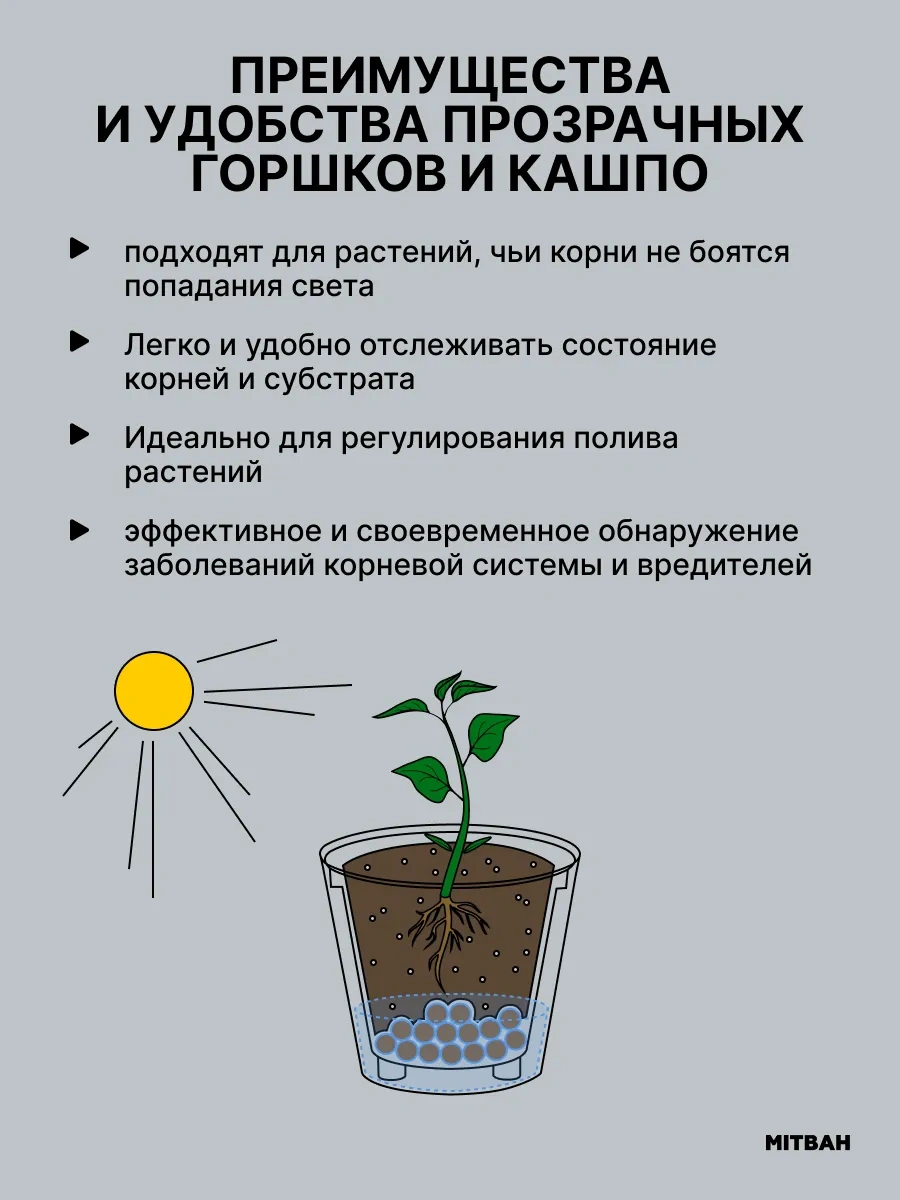 Mıtbah Şeffaf Saksı 2 Adet Orchids 74247176