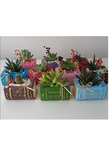 Kitap Saksı Küçük Boy