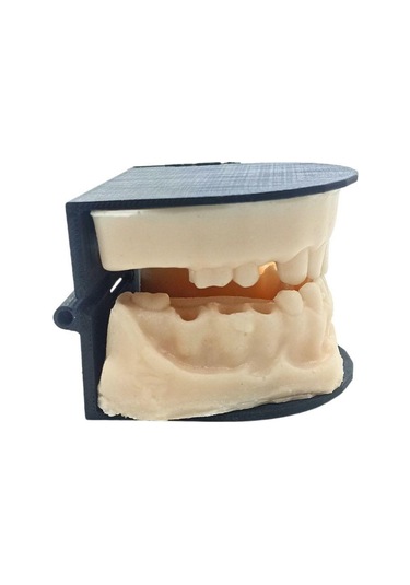 Barışhan Medikal Silikon Çene Diş Dikiş Modeli Ortodontik Alt Üst Çene Periodontal Sütür Eğitim Modeli-1