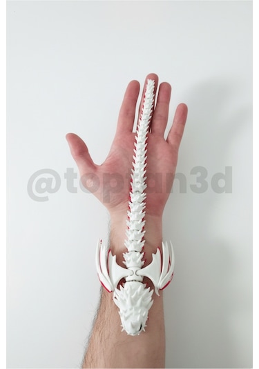 Mega Boy Ejderhanı Nasıl Eğitirsin Ölüm Pençesi Ejderhası Hareketli Figür - 30cm