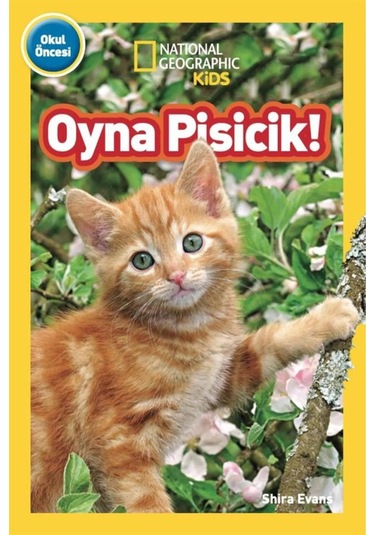 Beta Kids Oyna Pisicik
