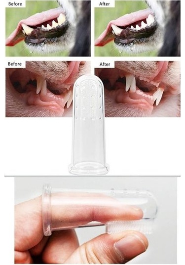 River World Köpekler İçin Diş Fırçası Temizleme Aleti